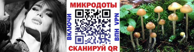 Галлюциногенные грибы прущие грибы  Кинель 
