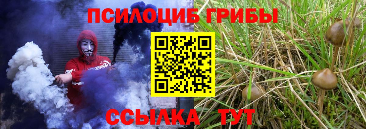 Кинель  Галлюциногенные грибы Psilocybine cubensis  что такое наркотик  Вход с VPN  Галлюциногенные грибы GOLDEN TEACHER 